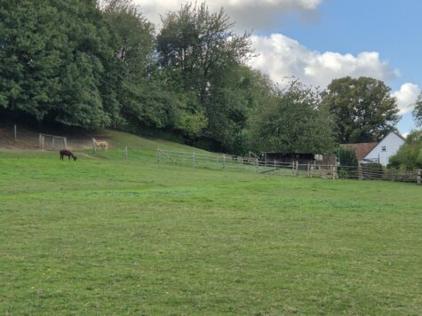 Baugrundstück + Zweifamilienhaus + große Wiese für Tierhaltung und wunderschönem Ausblick, 49143 Bissendorf